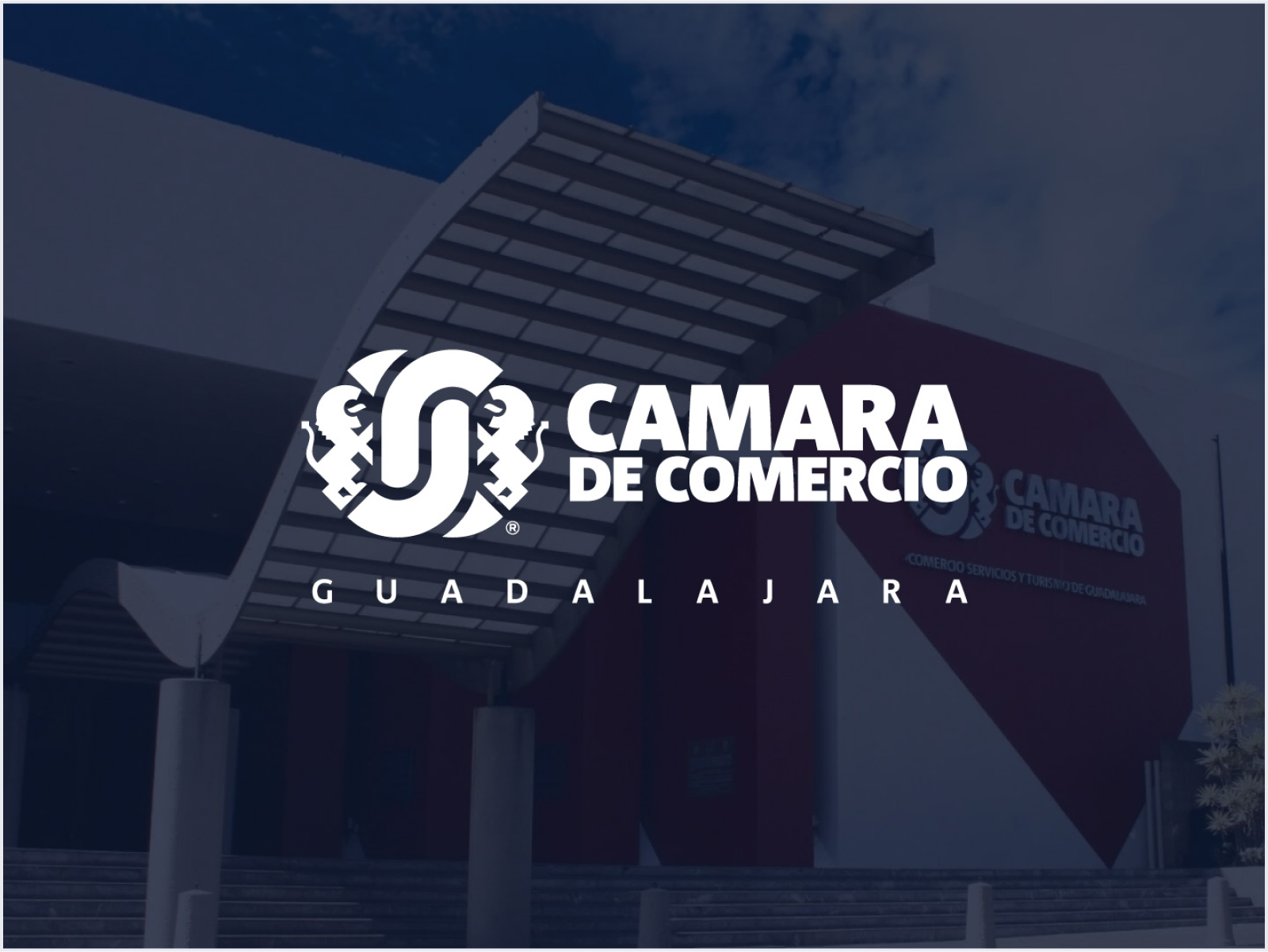 Camara Comercio